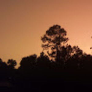 Meet your Posher, Avery